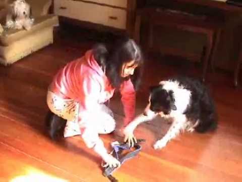 how to measure dog girth
