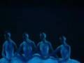 Tchaikovsky Swan Lake Ballet