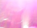 Simple plan 31/10 sweden
