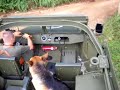 Scout Car- BPVMA - Treinamento Base Choque Tees Brazil - 5