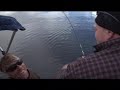 Brochet lac Albanel