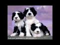 http://www.ksinternet.com/5vSR -michael jackson - music.wmv