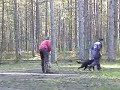 Dog Training Seminar Wilfried Luneberg (p.1)