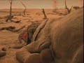 CONCIENCIA AMBIENTAL