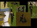 Runescape - Amish Paradise