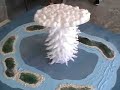 nuclear-victims-day-feb-28-2006-majuro-marshall-islands.html