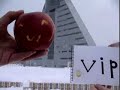 vipper in japan vipper in japan