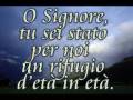Devi Vincere.wmv