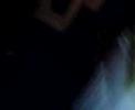 dapple jackass dirty sanchez funny mad nuneaton  sick