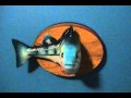Frankie the Fish Filet O Fish remix toy fish on the wall