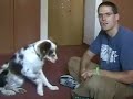 Dog Clicker Training - Teaching the Down Cue