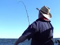 halibut fishing 2008 halibut fishing 2008