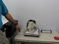 Newport Aquarium Gentoo Penguin Weigh-In #2 Newport Aquarium Gentoo Penguin Weigh-In #2