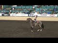 on saturday april 19th at the 63rd annual del mar national horse show in del mar, california we were entertained by blake goode.  what would possess someone to put one foot on the back of a 2,600-lb. brahma bull and put the other foot on another brahma bull and then ride them around an arena?  blake goode says he's still trying to figure that out!  a texas-based performer from ravenna texas, blake boode has been roman riding brahma bulls and horses for 11 years.  he was one of the featured performers at the national professional rodeo cowboys association, and has been nominated for the prca entertainer of the year.  
websites:
http://www.delmarnational.com/
http://www.gooderodeoacts.com/