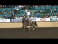 on saturday april 19th at the 63rd annual del mar national horse show in del mar, california we were entertained by blake goode.  what would possess someone to put one foot on the back of a 2,600-lb. brahma bull and put the other foot on another brahma bull and then ride them around an arena?  blake goode says he's still trying to figure that out!  a texas-based performer from ravenna texas, blake boode has been roman riding brahma bulls and horses for 11 years.  he was one of the featured performers at the national professional rodeo cowboys association, and has been nominated for the prca entertainer of the year.  
websites:
http://www.delmarnational.com/
http://www.gooderodeoacts.com/