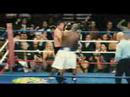 Your Name Is Rocky Balboa