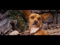 The First BEVERLY HILLS CHIHUAHUA MOVIE REVIEW on YouTube