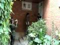 Casa Perez Norzagaray_05