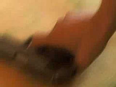 follame - Trailer of the french movie