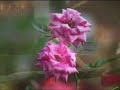 Wedding song YOUTUBE Wedding song YOUTUBE
