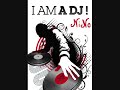 dj nino remix laurent wolf and discobitch.wmv