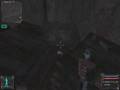 Start of Stalker-Useful Items