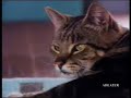 Very Funny DHL Commercial! Very Funny DHL Commercial!