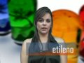 Fisiologia Vegetal (Profa. Cristiane Guimarães)