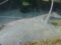 Under Water World Part 1 Under Water World Part 1