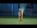 Sport Science: Abuse Brenkus