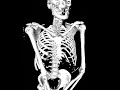 freddy the skeleton