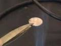 Penny Alchemy