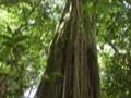 videos de C M B C - 4º parte