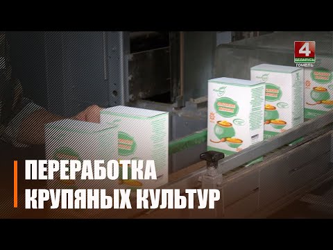 На Гомельщине начинают переработку овса и гречки нового урожая видео