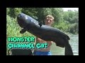 RIVER MONSTER CHANNEL CATS