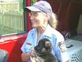 Dogs, Cats, Lizards Rescued From Feces-Filled Home