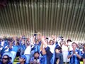 Gallos no se va