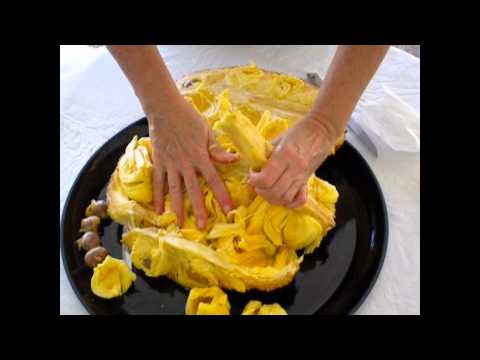 how to harvest jackfruit