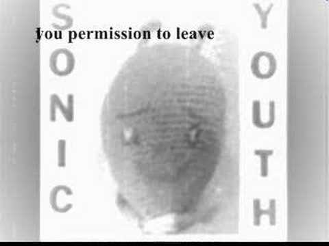 Video de Shoot de Sonic Youth