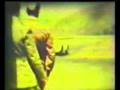 targa florio 1956 film