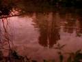 A Passion For Angling 1 - Childhood Dreams & Redmire Legends