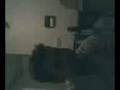 videos de fumando narguile