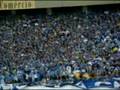 Homenagem aos Gremistas -Tricolores no Beira-Rio