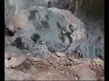 Anima nel vento