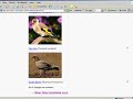 EnÜnlüSite - www.enunlusite.com Bilgisayar, Internet, Donanım, Yazılım, Siyasetçiler, Şehirler, Tarihten Meşhur Şahsiyetler, Valilikler, Belediyeler, Başkentler, Software, Üniversiteler, Ülkeler, İşletim Sistemleri(OS), Programlar, Sanatçılar, Hayvanlar, Oyunlar, Spor, Kara Hayvanları, Yerli Sporcular, Balıklar, Genel Siteler, Yabancı Sporcular, Bitkiler, Resmi kurumlar, Türkiye Spor Kulüpleri, Ağaçlar, Gazeteler, Dergiler, Yabancı Spor Kulüpleri, Şifalı Bitkiler, Bankalar, Çiçekler, internet, Yozgat, İş Dünyası, Araba Markaları...