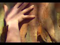 music video from the faun fables cd 