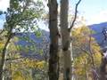 videos de Rocky Mountain Park 4