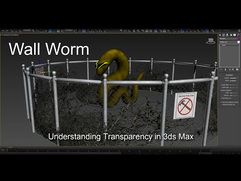 Wall Worm Pro