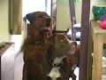 See video