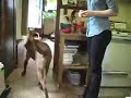 See video